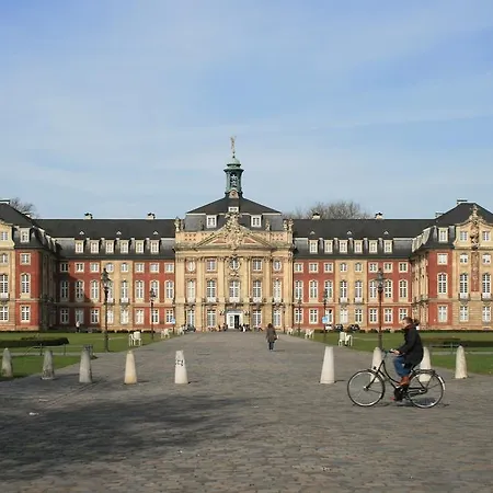 Ibis 3*